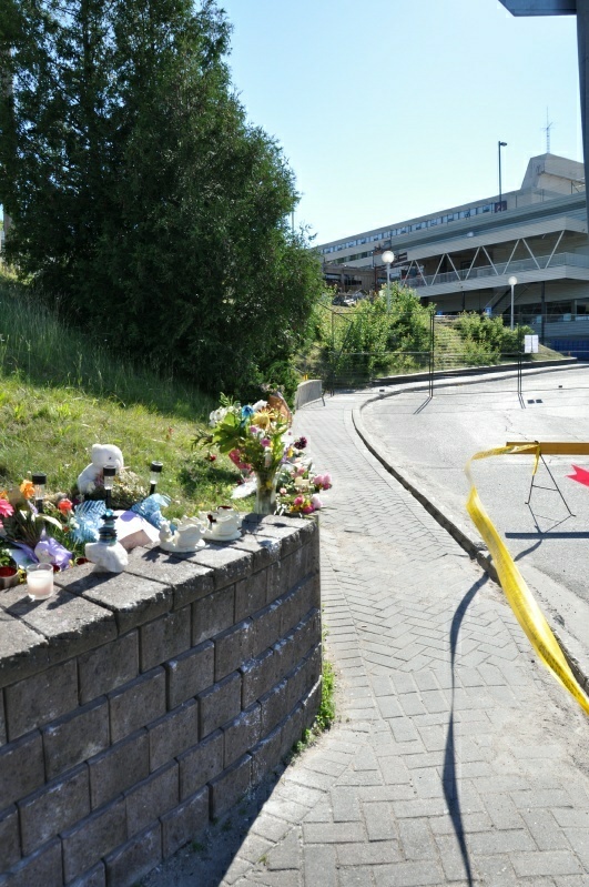 1_DSC_8539