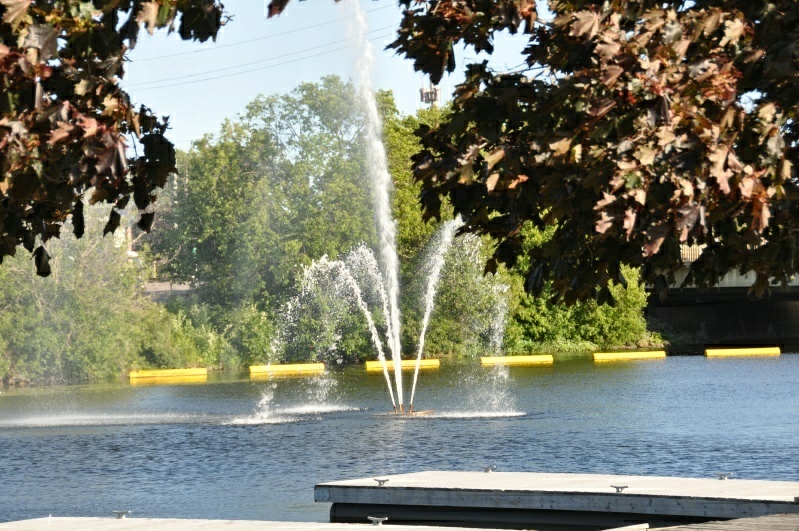 1_DSC_8541