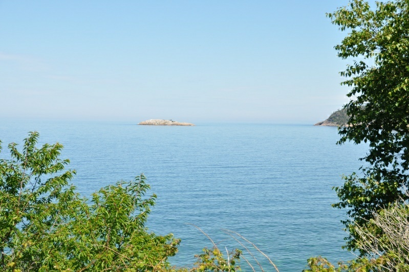 1_DSC_8547