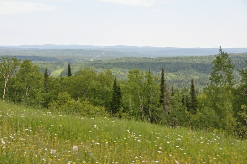 1_DSC_8549