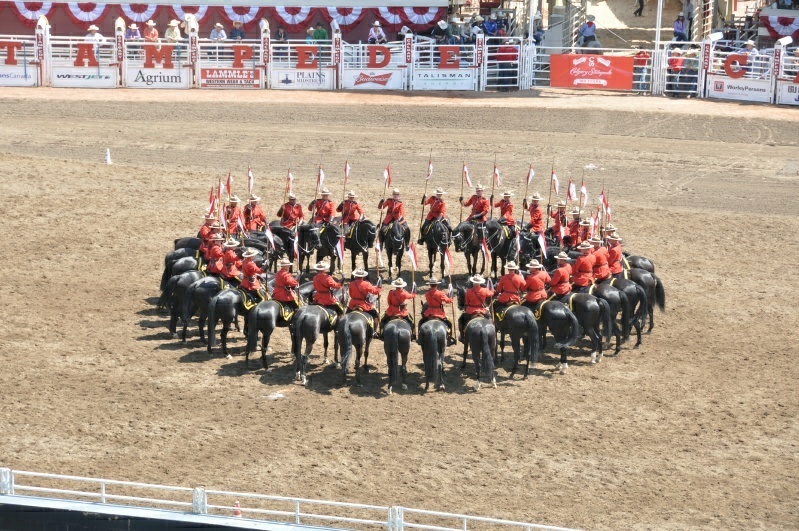 1_DSC_8999