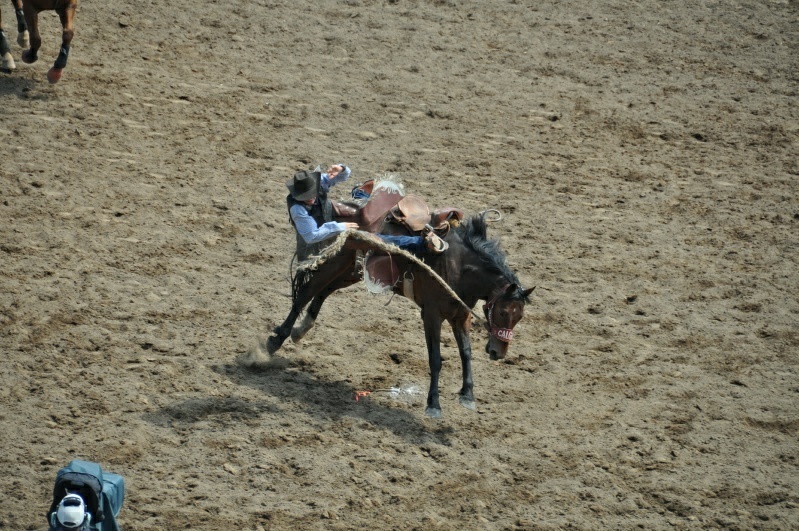 1_DSC_9027