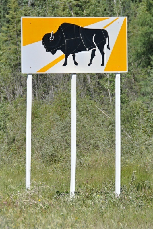 2_DSC_0373