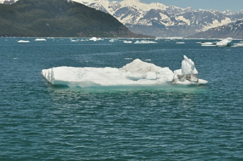 3_DSC_2086