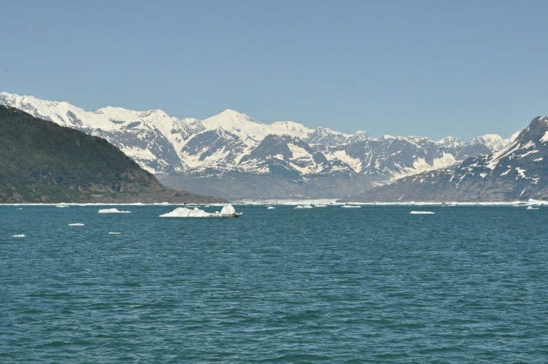 3_DSC_2146