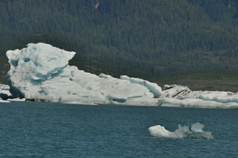 3_DSC_2150