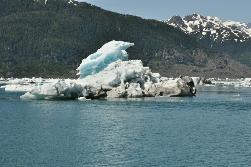 3_DSC_2174