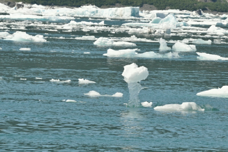3_DSC_2175