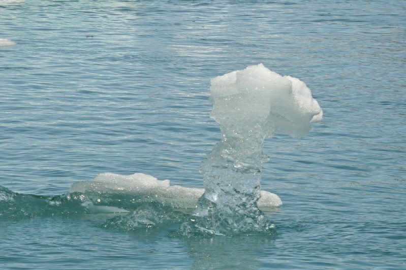 3_DSC_2176