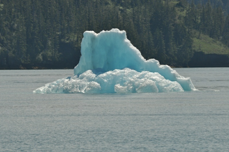 3_DSC_2223