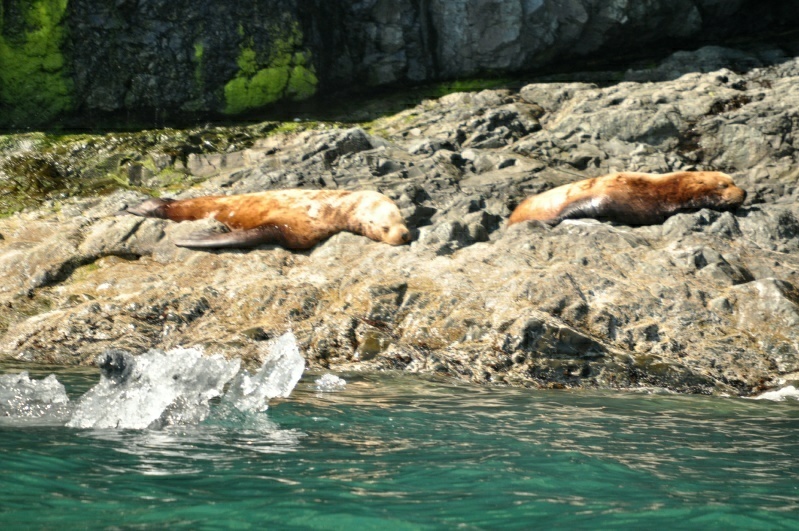 3_DSC_2390