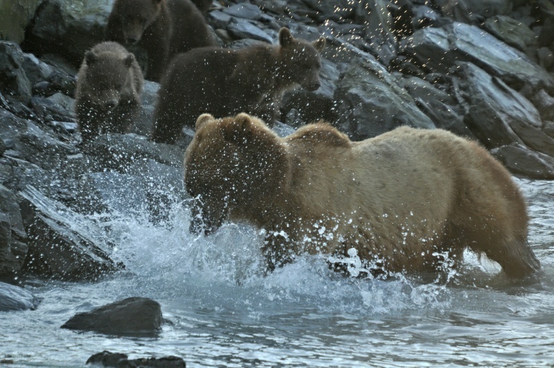3_DSC_2982