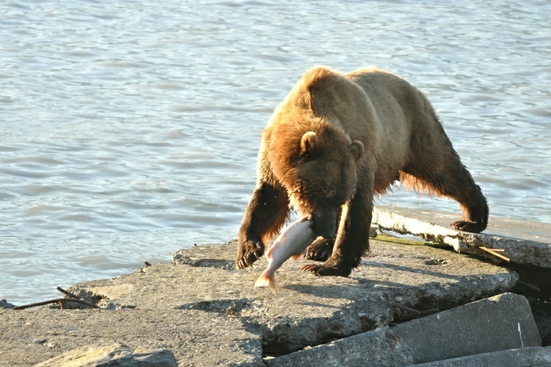 3_DSC_3102