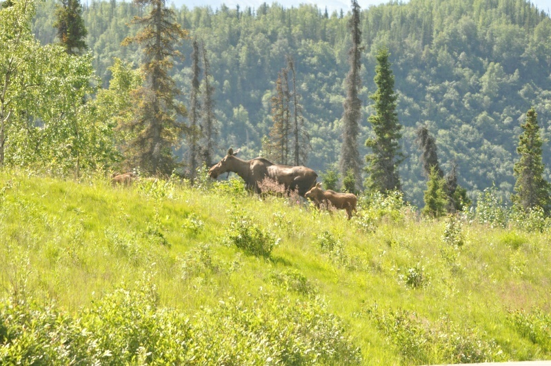 3_DSC_3161