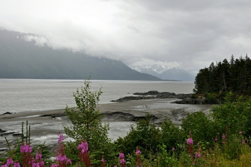 3_DSC_3293