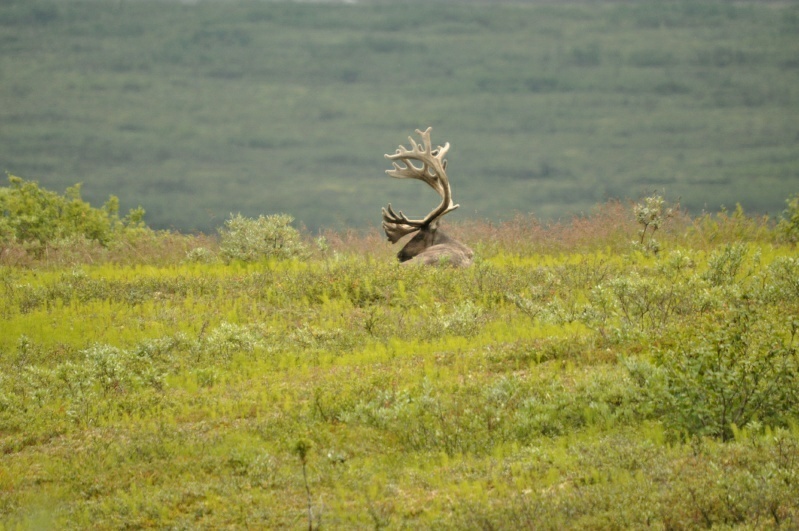 3_DSC_3521