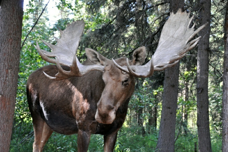 3_DSC_3677