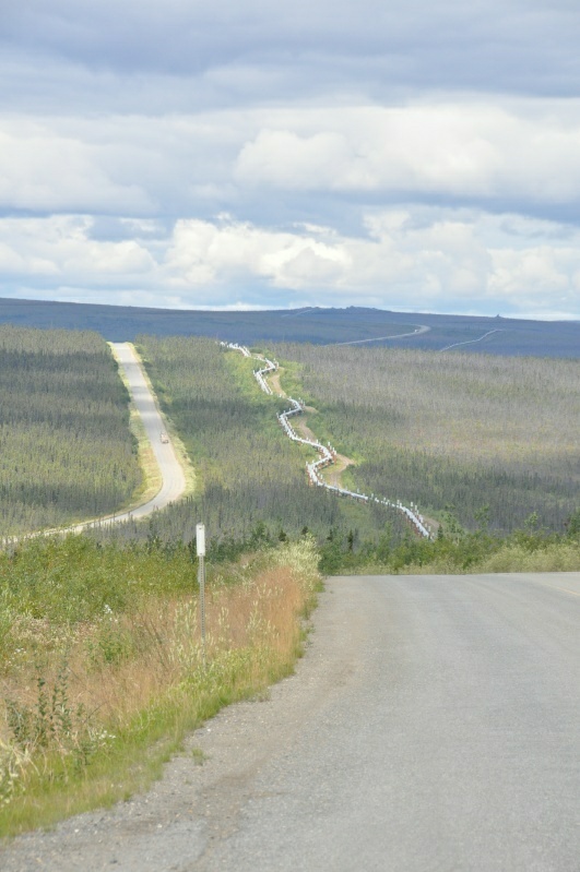 3_DSC_3710