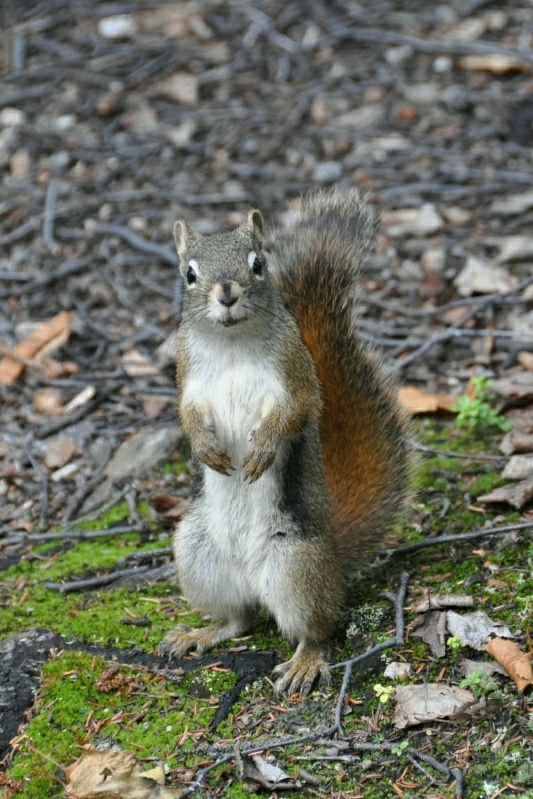 3_DSC_3745