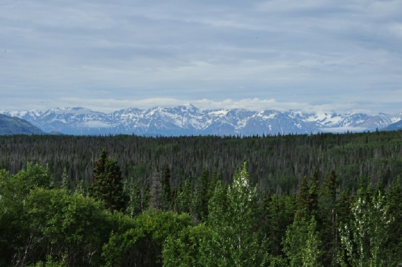 3_DSC_3867