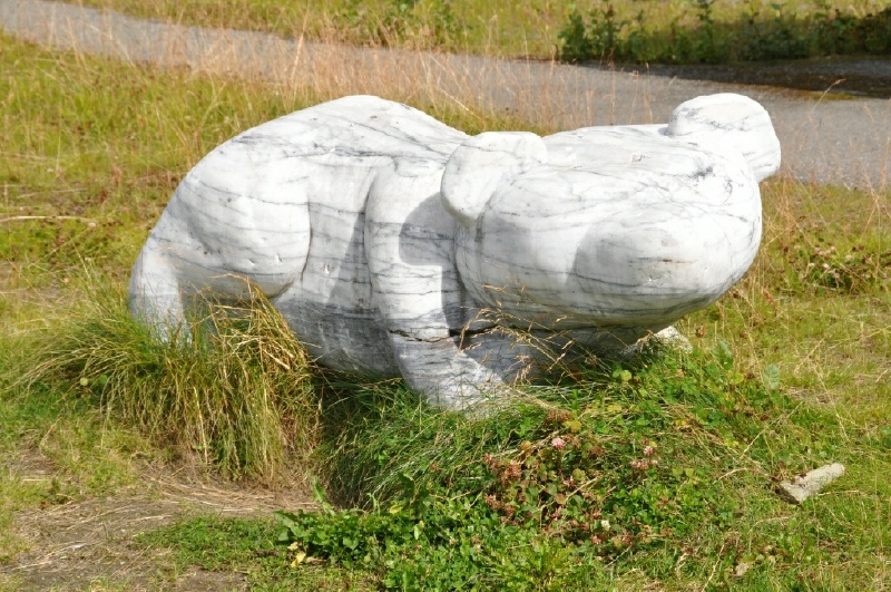 3_DSC_3910