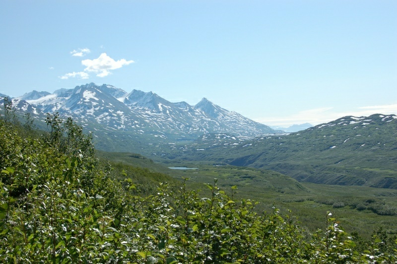 3_DSC_5801