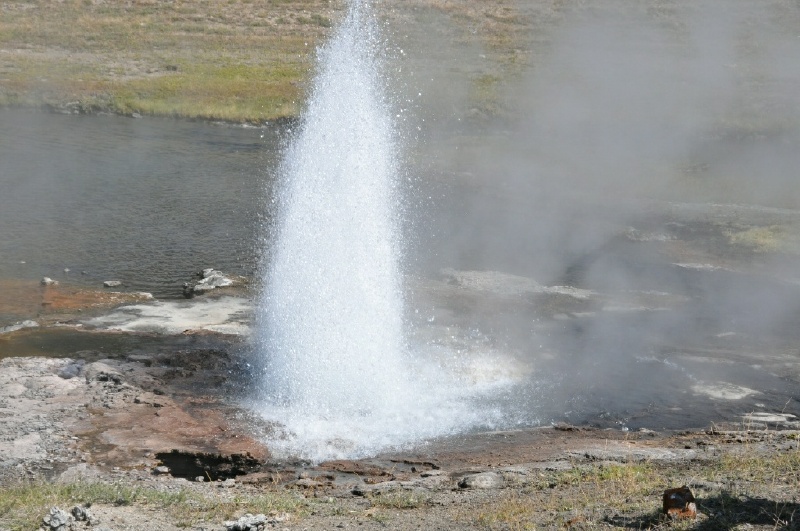 4_DSC_4323