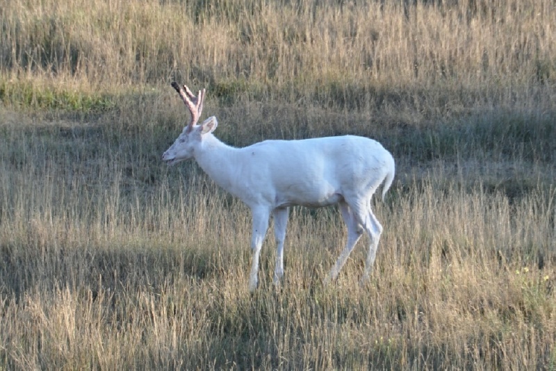 5_DSC_5090