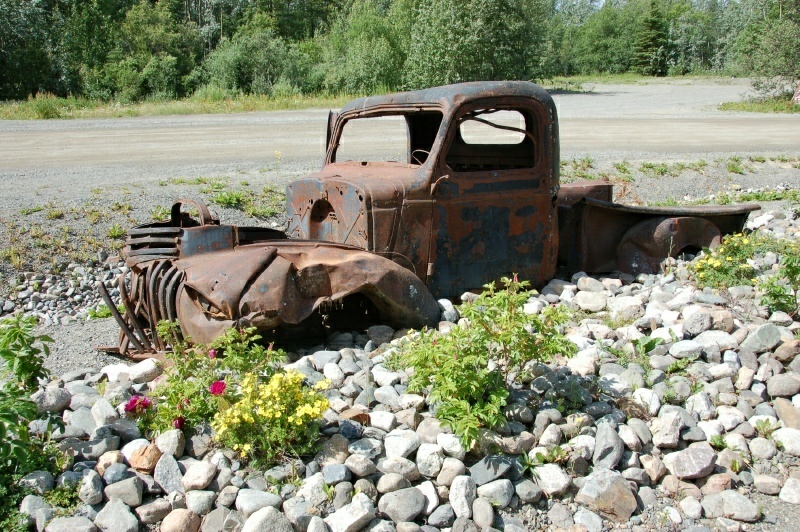 5_DSC_5525