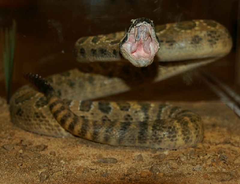 5_DSC_6494