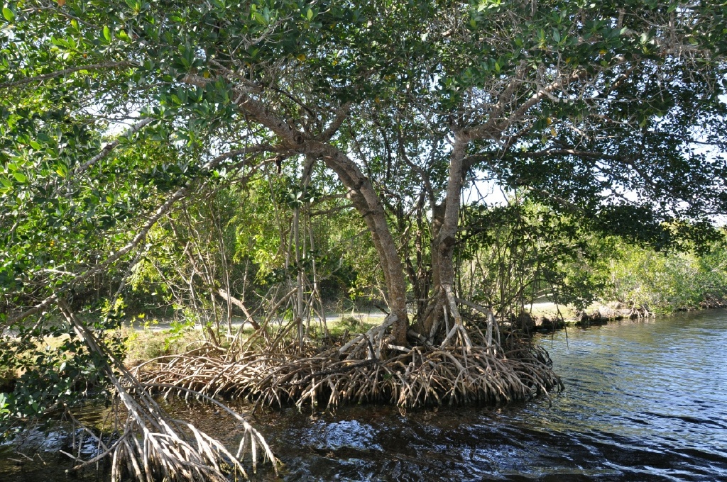 DSC_7477