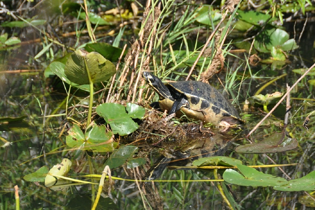 xDSC_7618