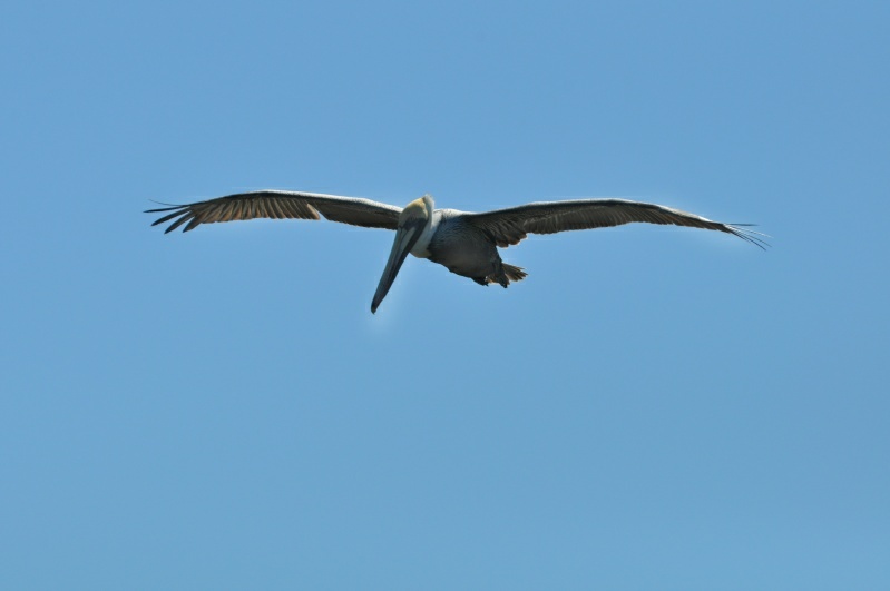 xDSC_8670