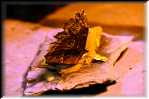 RON_1303(1)