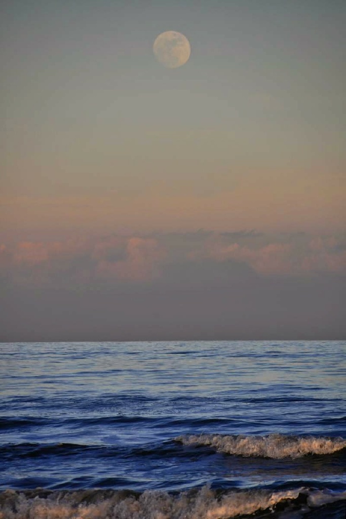 DSC_0017