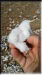 Cotton coton 20171204_121811