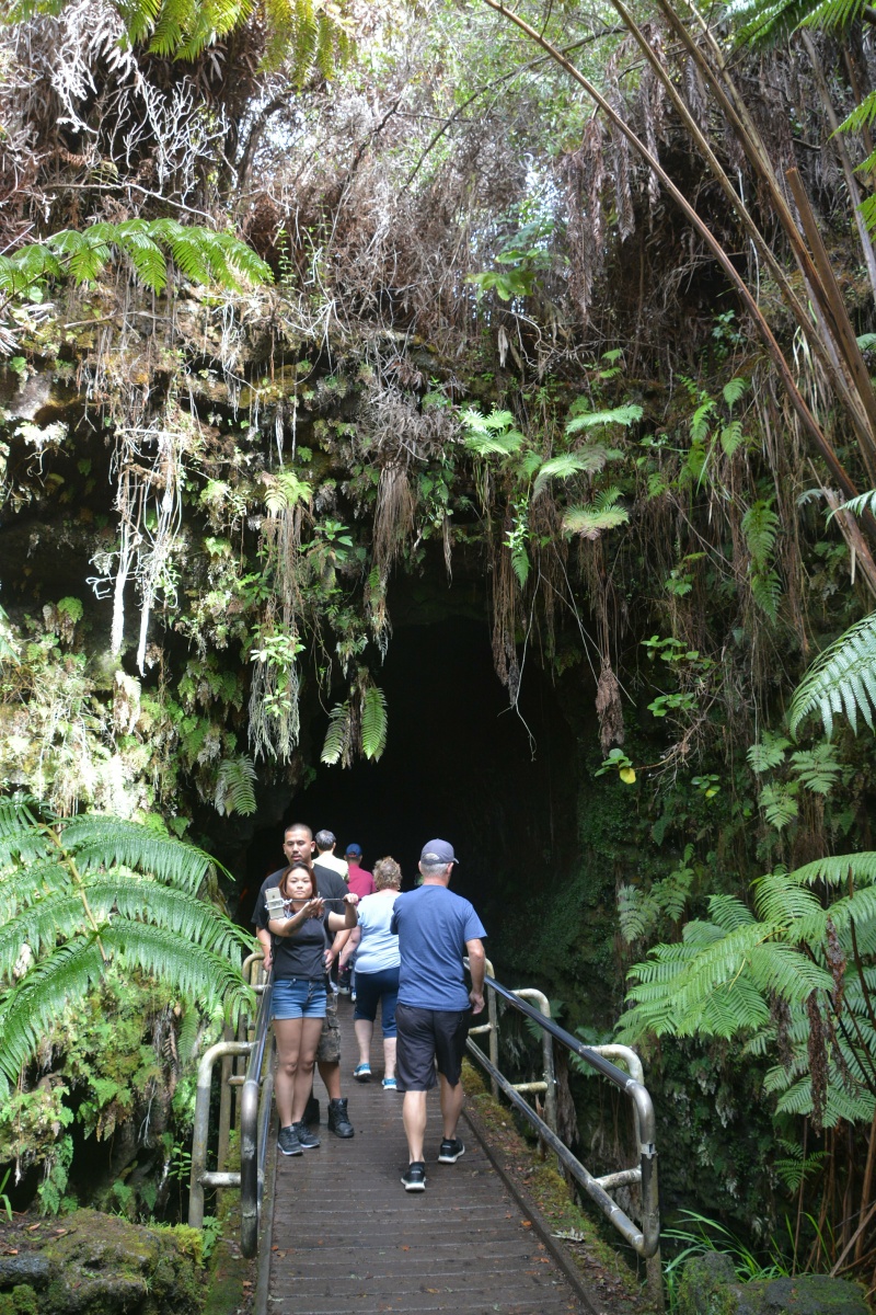 09_RON_30_Thurston_Lava_Tube