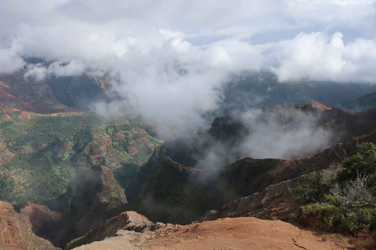 11_RON_08_Waimea_Canyon