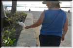 05_RON_0563