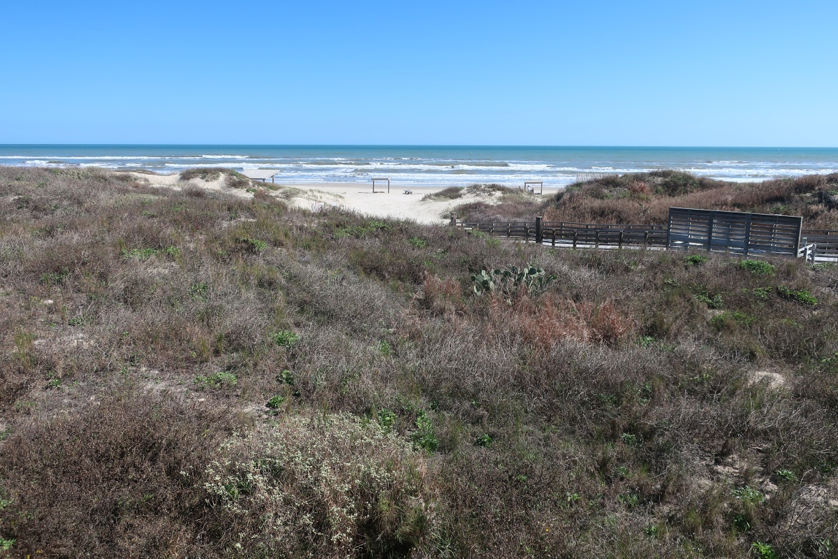 D Padre Island National Seashore 0195