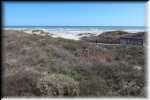 D Padre Island National Seashore 0195