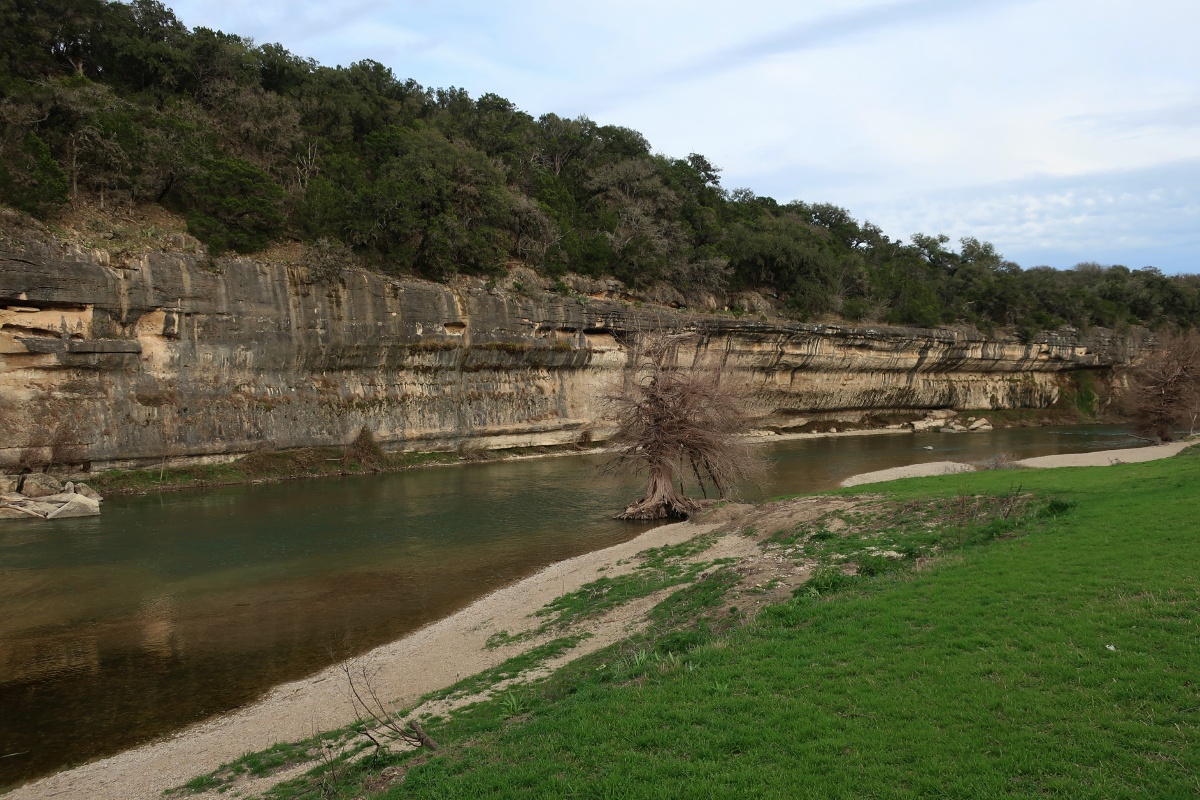 F Guadalupe River 0299