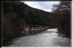 F Guadalupe River 0291