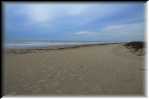 B Galveston Island State Park 8447