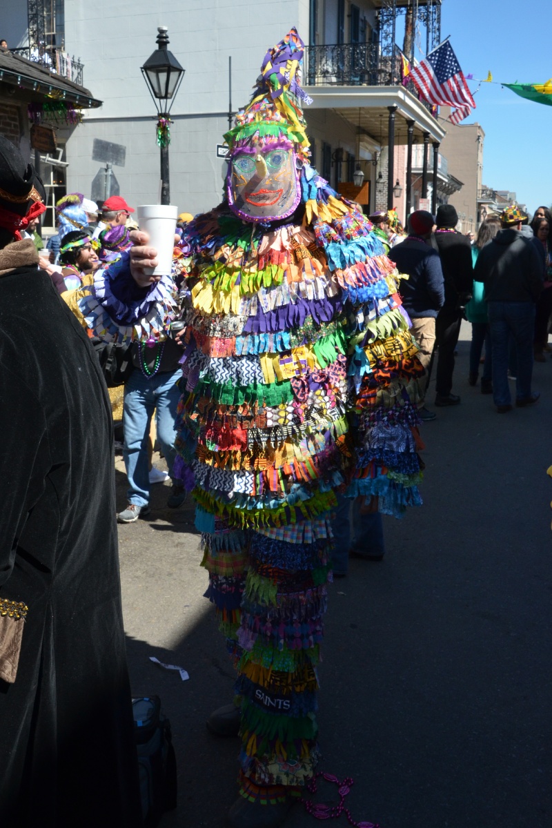 J Mardi Gras Costumes 8744