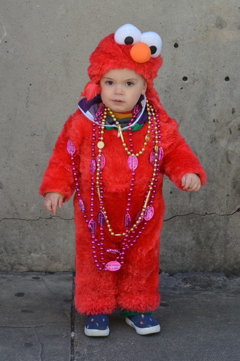 J Mardi Gras Costumes 8751