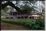 H Laura Plantation 02