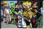 J Mardi Gras Costumes 8849