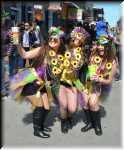 J Mardi Gras Costumes 8883