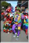 J Mardi Gras Costumes 8953